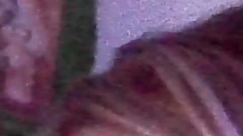 Snapshot of molly_theslut chatting on January 30, 3:08 pm molly_theslut online show from January 30, 3:08 pm