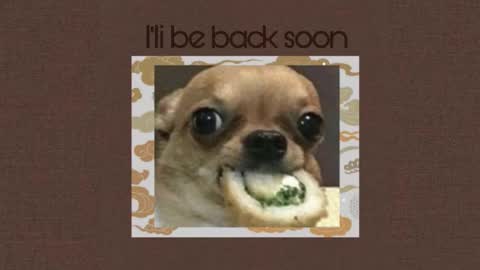 Ri online show from November 3, 10:03 pm