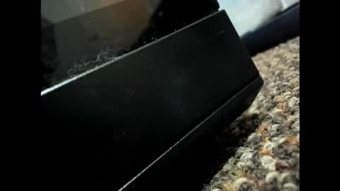 ms rosy palm online show from October 21, 1:20 am