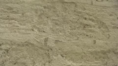 Mullty online show from December 18, 8:36 pm