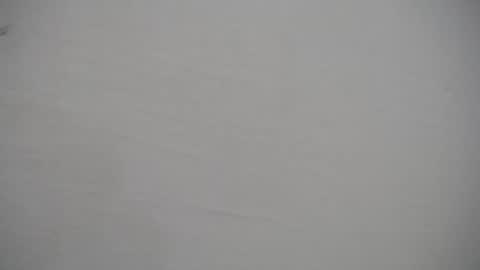 musaleva303av online show from January 10, 3:11 am