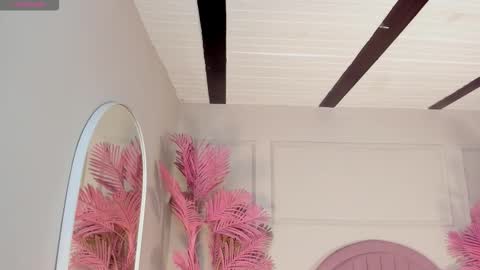 nalapalmer online show from February 24, 3:16 am