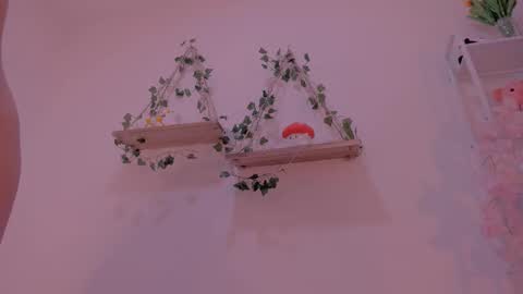 N A M I    -   OF  namibergmant online show from October 23, 11:44 pm