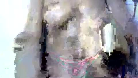 nasty_slut87 online show from May 28, 6:55 am