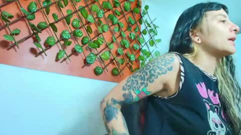 Kitten online show from April 11, 10:52 am