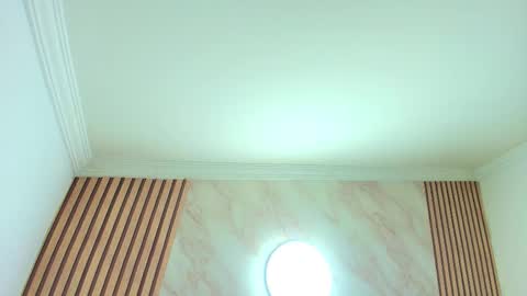 Kitten online show from October 20, 11:24 am