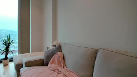 Snapshot of naughtynerdygirl chatting on February 10, 2:37 pm Gigi Chu online show from February 10, 2:37 pm