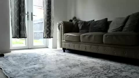 Navyrein online show from October 24, 3:41 pm