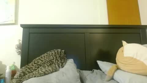 Mimi is dope    online show from November 10, 3:01 am