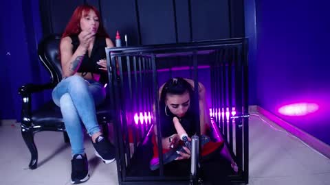 Camille online show from January 21, 2:15 pm