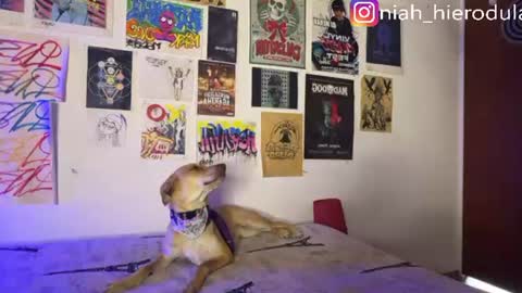niah online show from July 14, 9:08 pm
