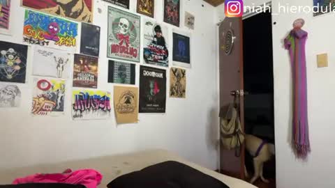 niah online show from July 26, 2:30 am