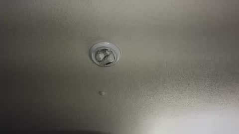 Nikki Mastersgirl1091 online show from November 12, 1:03 am