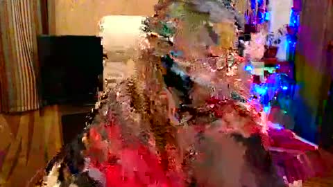 miss Tress online show from June 14, 10:21 pm
