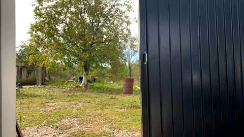 Nicol online show from September 19, 7:18 am