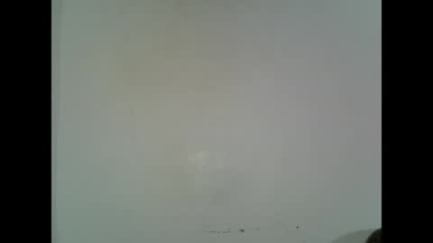 oneofdbestchubbygaloncb online show from May 9, 3:41 am