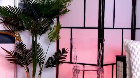 Xandra online show from November 27, 6:16 am