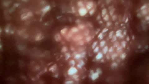 Pantiesofthefae online show from November 11, 4:15 pm