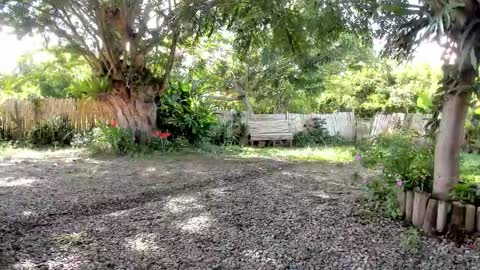 paoguerrax354 online show from November 11, 7:22 pm