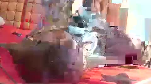 Coco channel  online show from January 10, 8:29 am