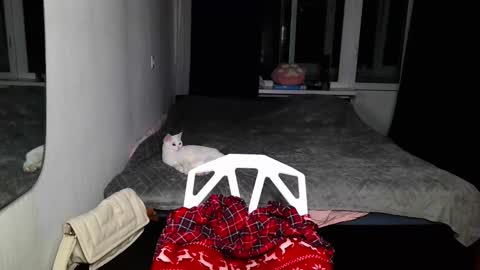 Snapshot of peachybabe__ chatting on December 28, 5:35 pm Peachy online show from December 28, 5:35 pm