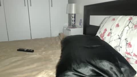 petite_danielle online show from October 11, 7:38 pm