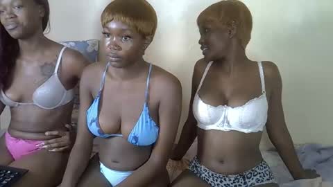 Cookie online show from March 15, 2:46 am