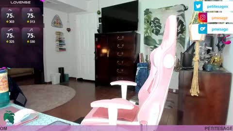 Snapshot of petitesage chatting on December 25, 11:53 pm petitesage online show from December 25, 11:53 pm