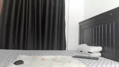 Queen armani online show from July 28, 3:48 am