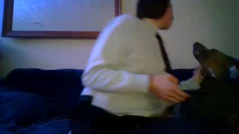 queenbee6269 online show from February 14, 4:37 am