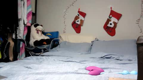 River Saint online show from February 8, 9:35 am