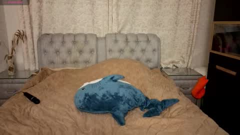 Rockel online show from November 21, 8:33 pm