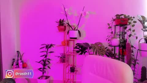 Im Ross   online show from November 7, 8:47 pm