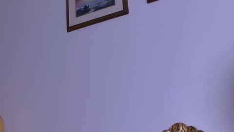 Rouse leon online show from February 26, 9:03 pm