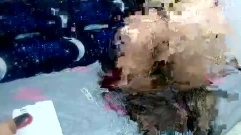 Sara love online show from February 2, 3:54 am