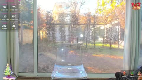 Sara online show from December 13, 10:19 am