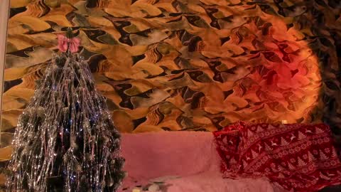 Christina Chris online show from December 13, 4:11 am