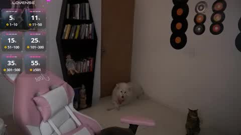 I AM JENN  online show from September 16, 4:53 am