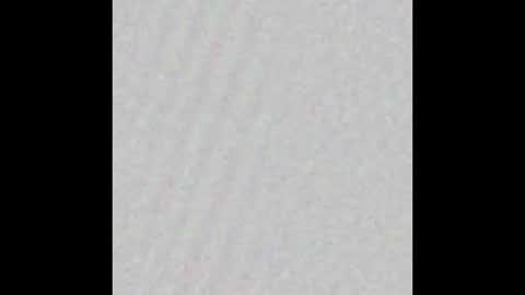 Snapshot of scalertt__steel_ chatting on September 12, 3:41 pm Venus online show from September 12, 3:41 pm