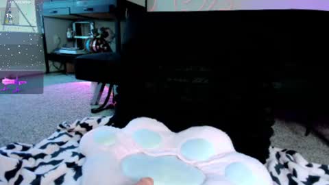 Scarlett Your petite pet online show from July 20, 5:47 pm