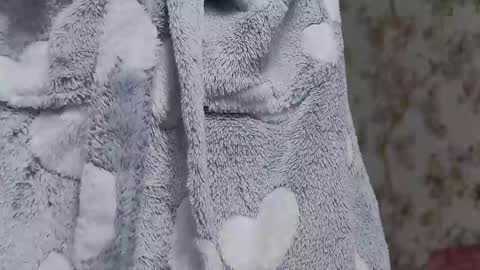 serayarose_ online show from November 8, 7:24 am