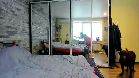 VIOLA online show from October 20, 5:21 am