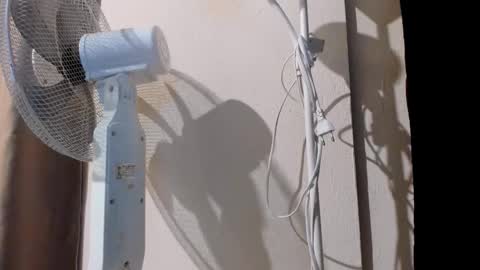 Alice online show from September 20, 11:14 pm