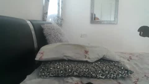 Patty online show from November 13, 9:41 am