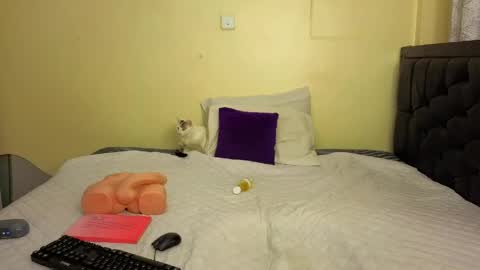 sexyy_shanty online show from May 11, 8:50 pm