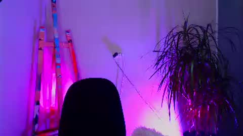 Snapshot of sheeeeesh_gurl chatting on December 19, 6:23 am sheeeeesh_gurl online show from December 19, 6:23 am