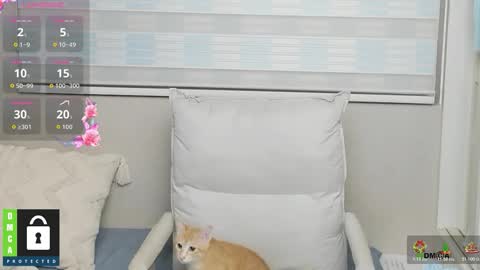 simonastephanie online show from January 8, 12:31 pm