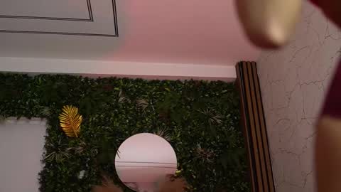 Dee online show from March 7, 8:49 pm