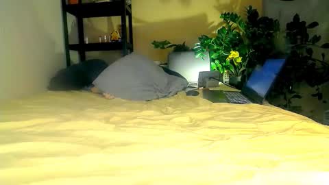 smile_dance_ online show from October 20, 4:21 pm