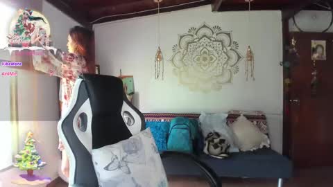 SmilingSalor online show from December 25, 4:22 pm